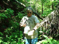 2006-04-03.JPG (52294 bytes)