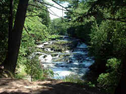 2006-04-06.JPG (54438 bytes)