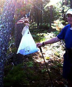 2006-04-16.JPG (40055 bytes)