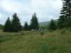 Photo Number 5