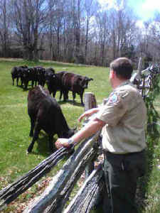 2007-01a.JPG (19670 bytes)