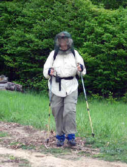 2008-19.jpg (56672 bytes)