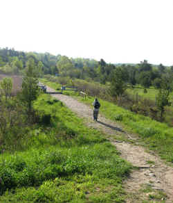 2008-25.jpg (48804 bytes)