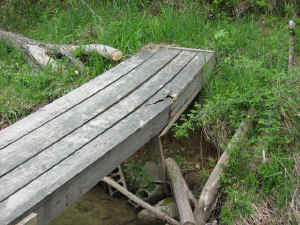 008.JPG (60046 bytes)