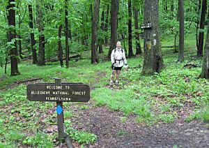 016.jpg (56686 bytes)