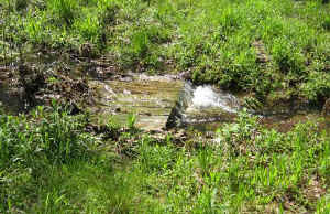 019.jpg (53900 bytes)