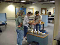 21.jpg (32850 bytes)