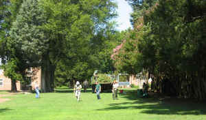 12.jpg (40696 bytes)