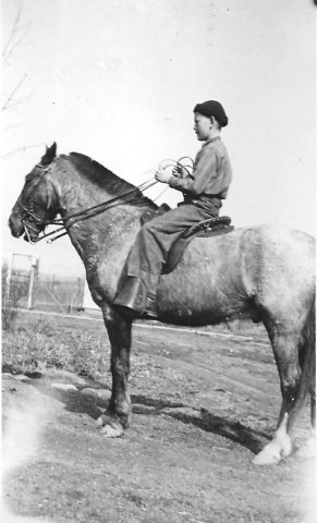 Photograph