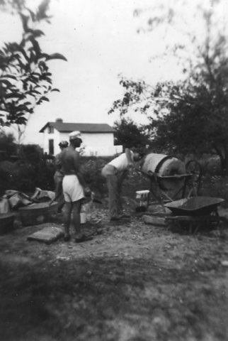 Photograph