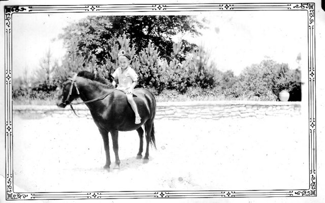 Photograph