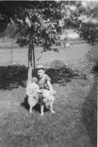 Photograph